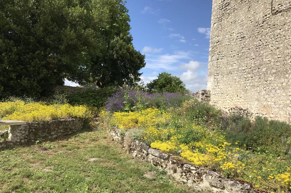 Photo of Outdoor in Saint-Romain