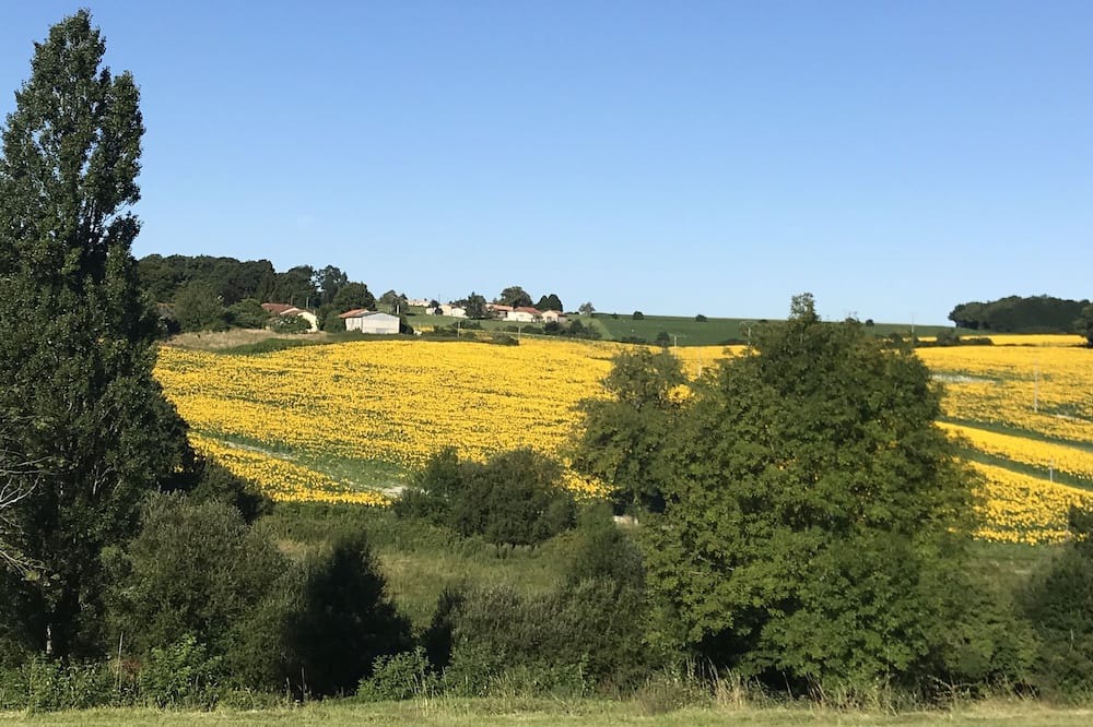 Photo of Outdoor in Saint-Romain