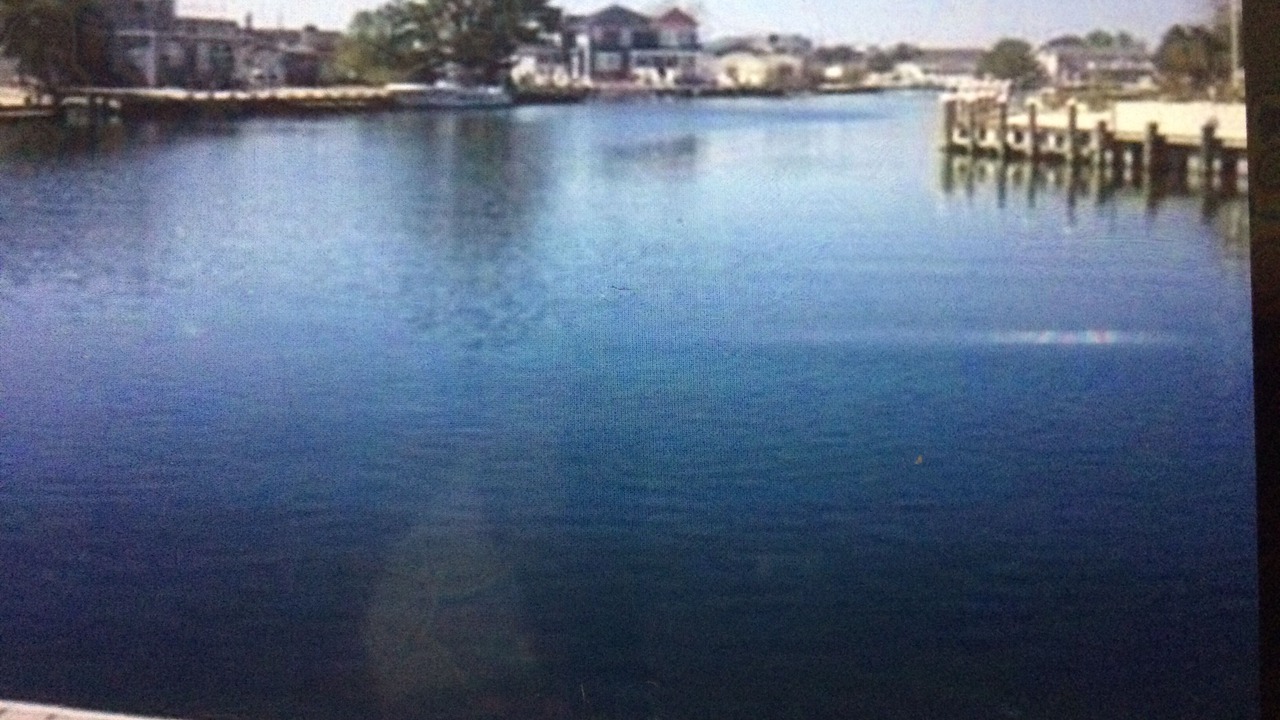 Photo of Outdoor in High Bar Harbor