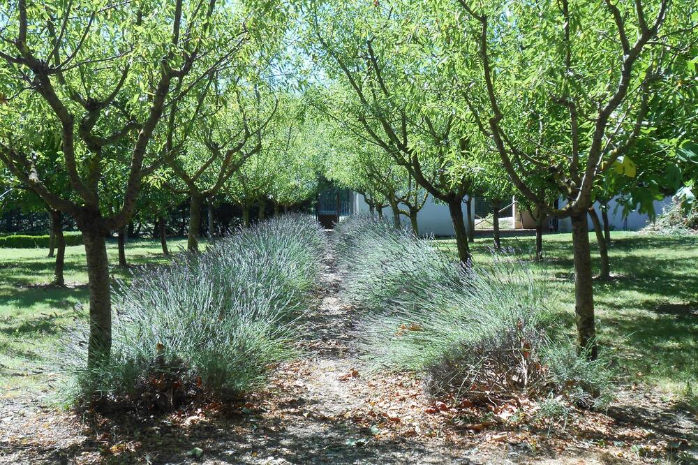 Photo of Outdoor in Bedarrides