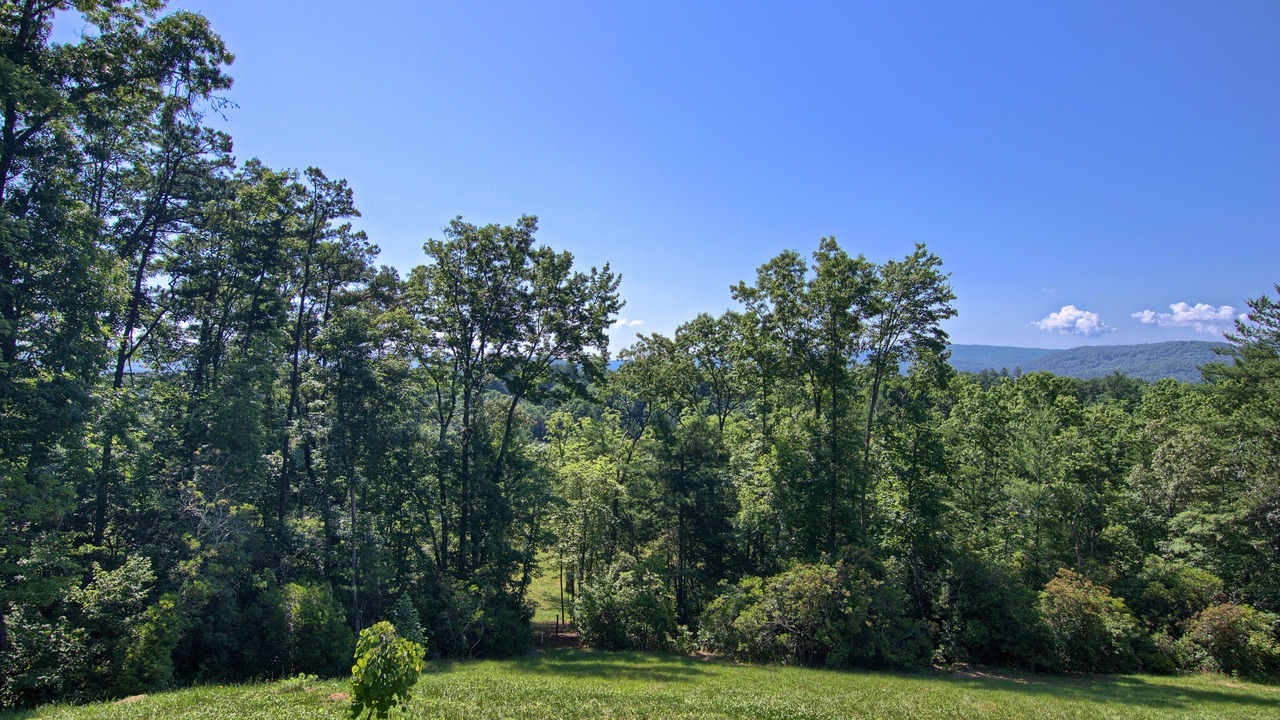 Photo of Outdoor in Horse Shoe