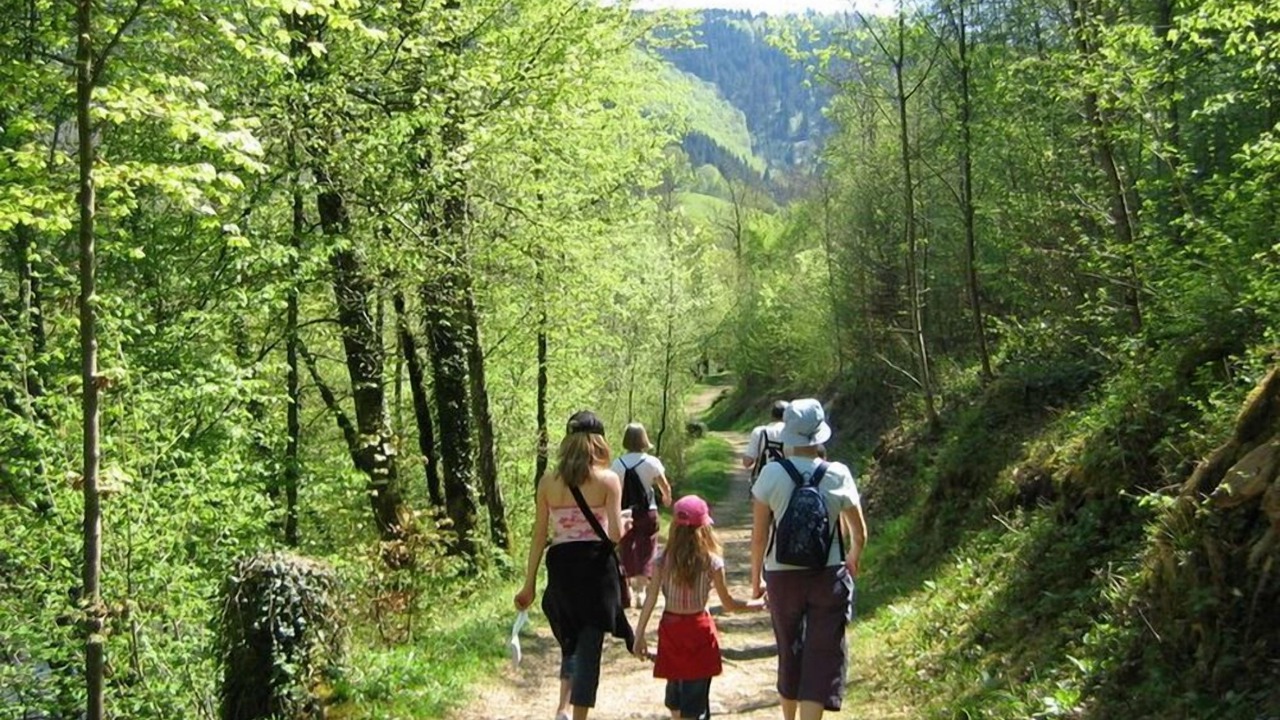 Photo of Outdoor in Vic-sur-Cere