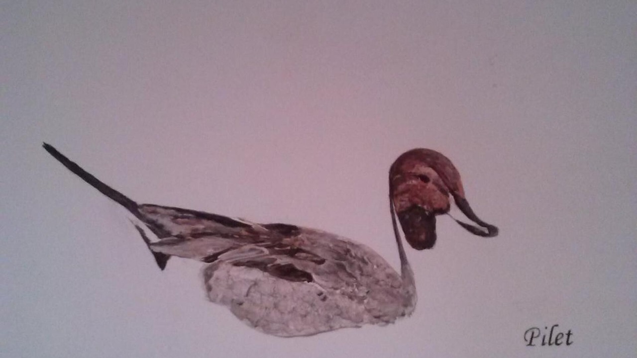 Photo of Others in Hangest-sur-Somme