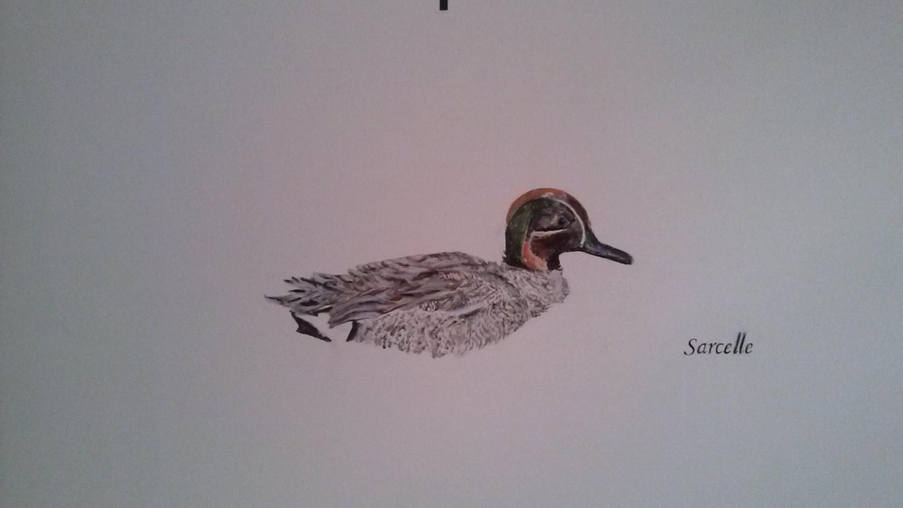 Photo of Others in Hangest-sur-Somme