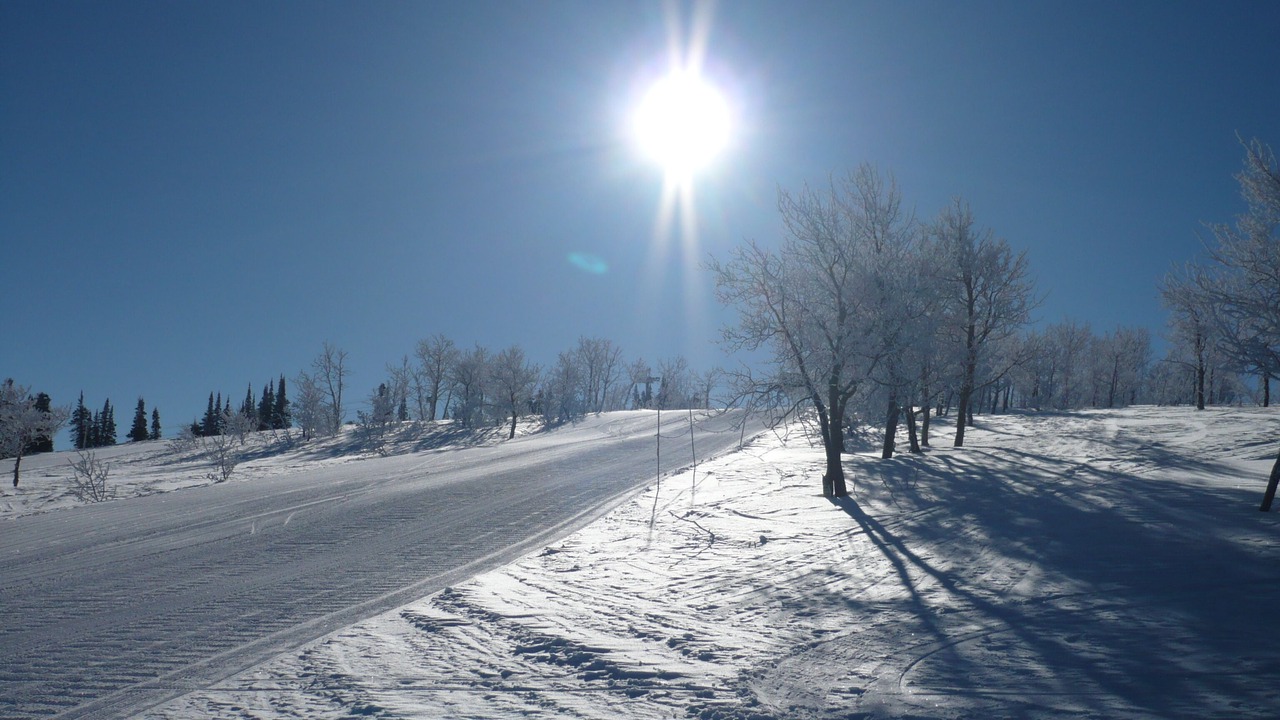 Photo of Others in Powder Ridge Village