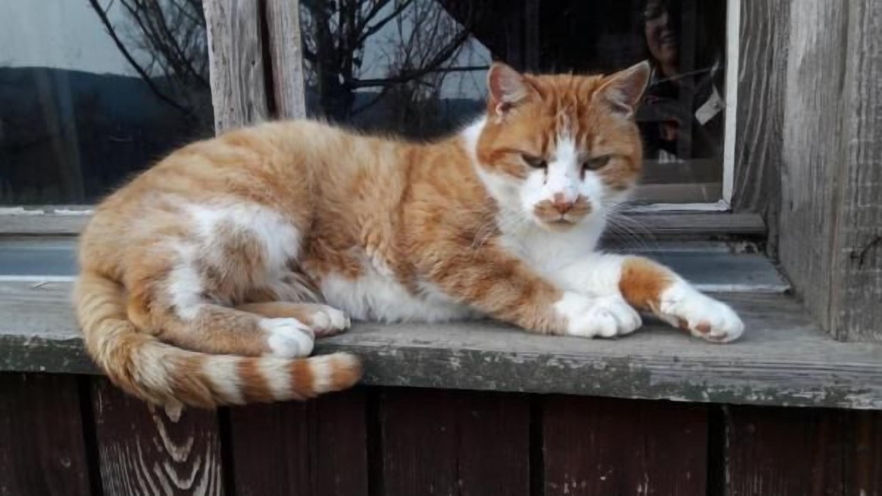 Photo of Outdoor in Andelfingen District