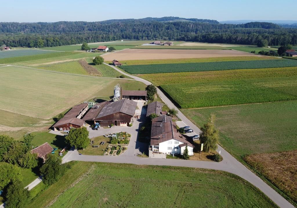 Photo of Others in Andelfingen District