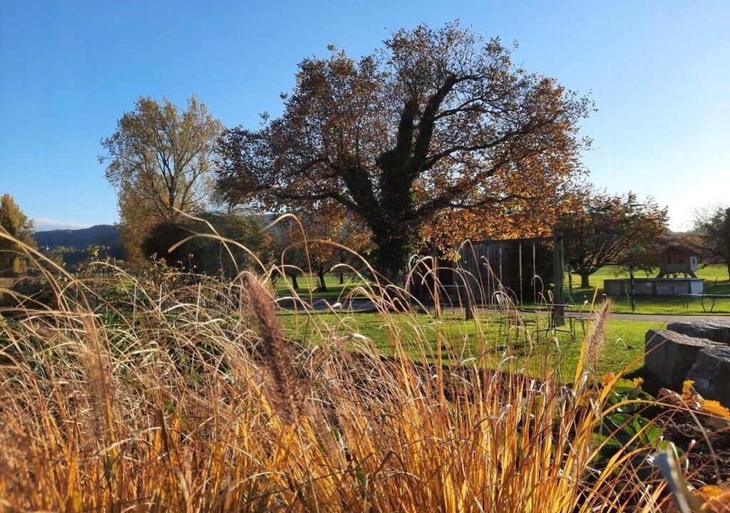 Photo of Outdoor in Andelfingen District