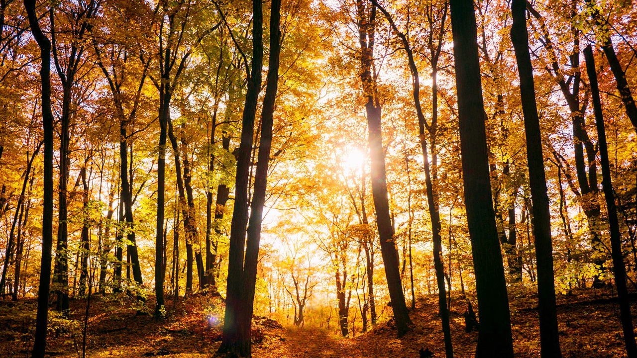 Photo of Outdoor in Pine Mountain