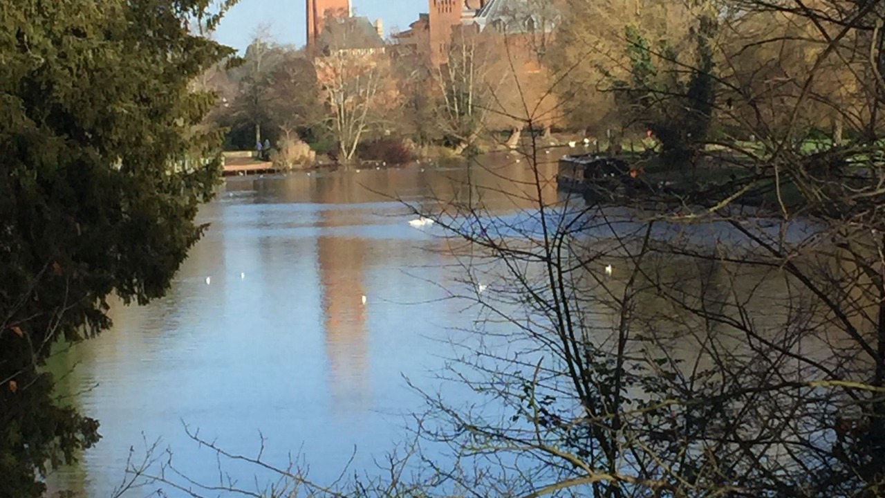 Photo of Others in Tiddington