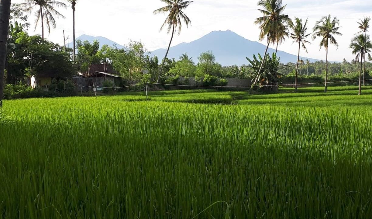 Photo of Outdoor in Banyuwangi