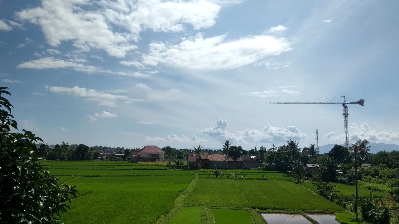 Photo of Outdoor in Banyuwangi