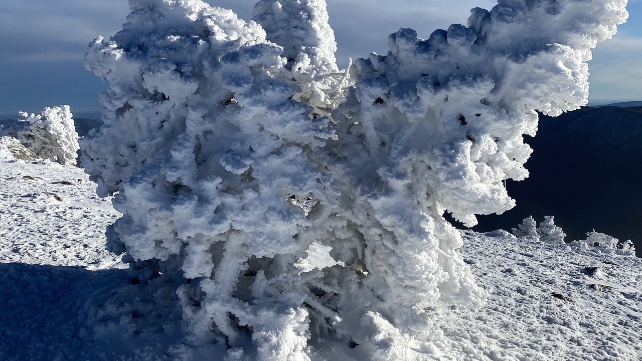 Photo of Others in L'Esperou