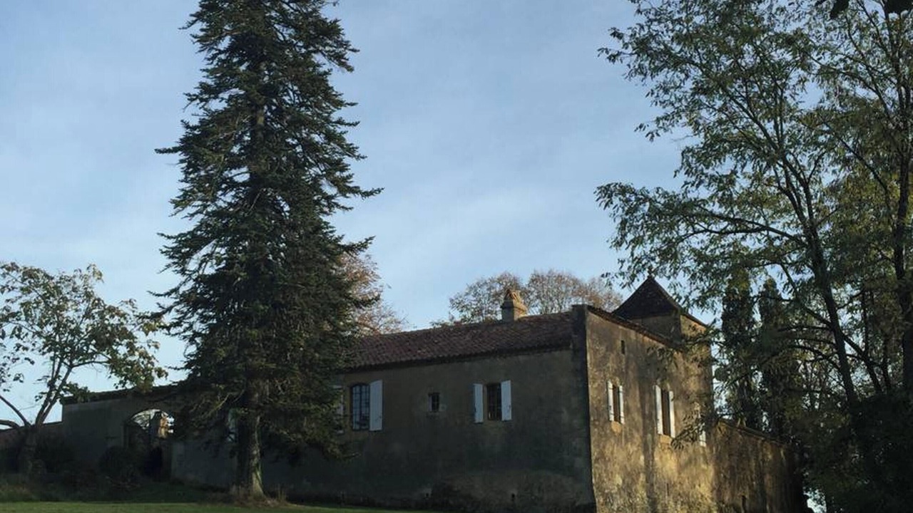 Photo of Outdoor in Blanquefort-sur-Briolance