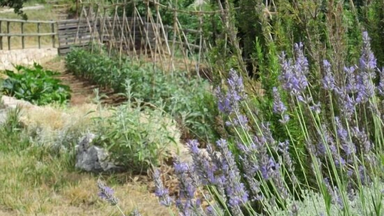 Photo of Outdoor in Pontons