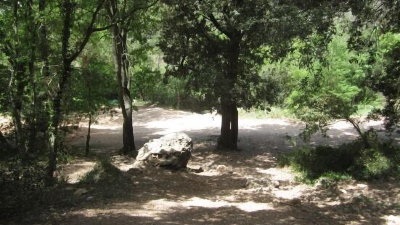 Photo of Outdoor in Pontons