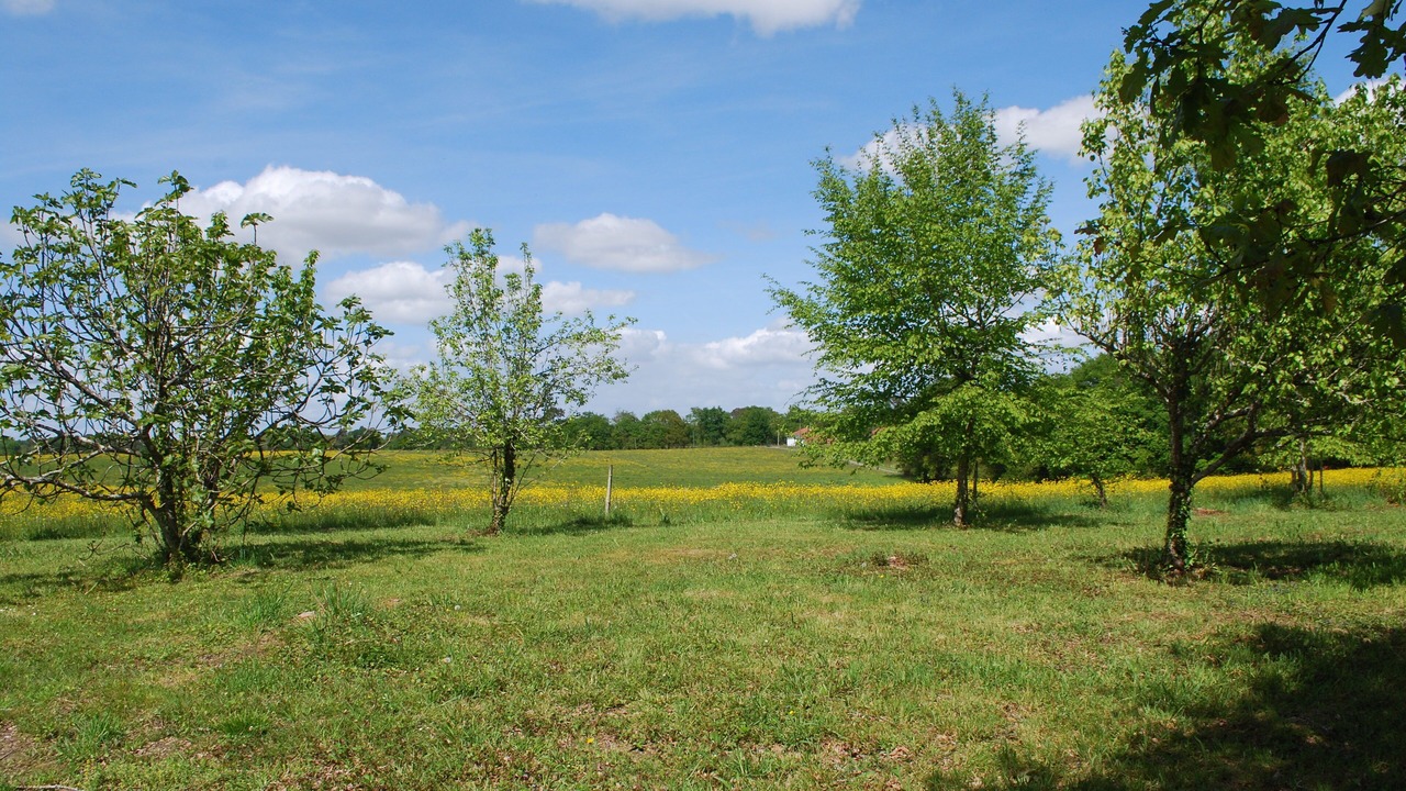Photo of Others in Garrey