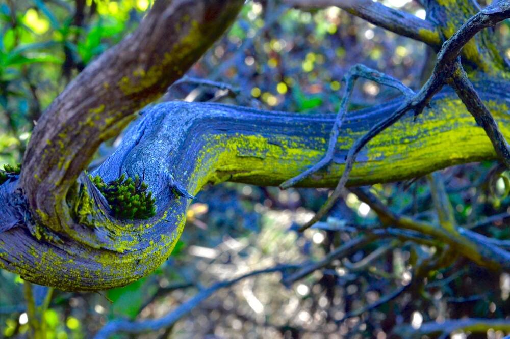 Photo of Outdoor in Moss Landing