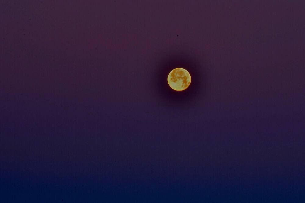 Photo of Others in Moss Landing
