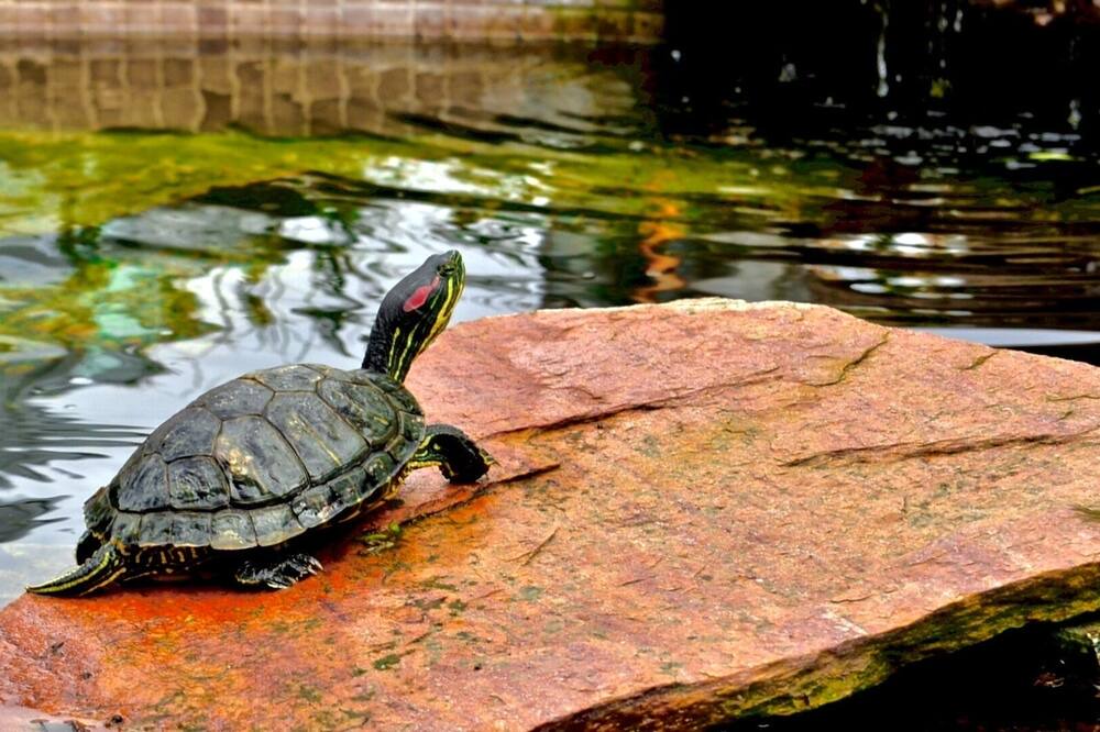 Photo of Others in Moss Landing