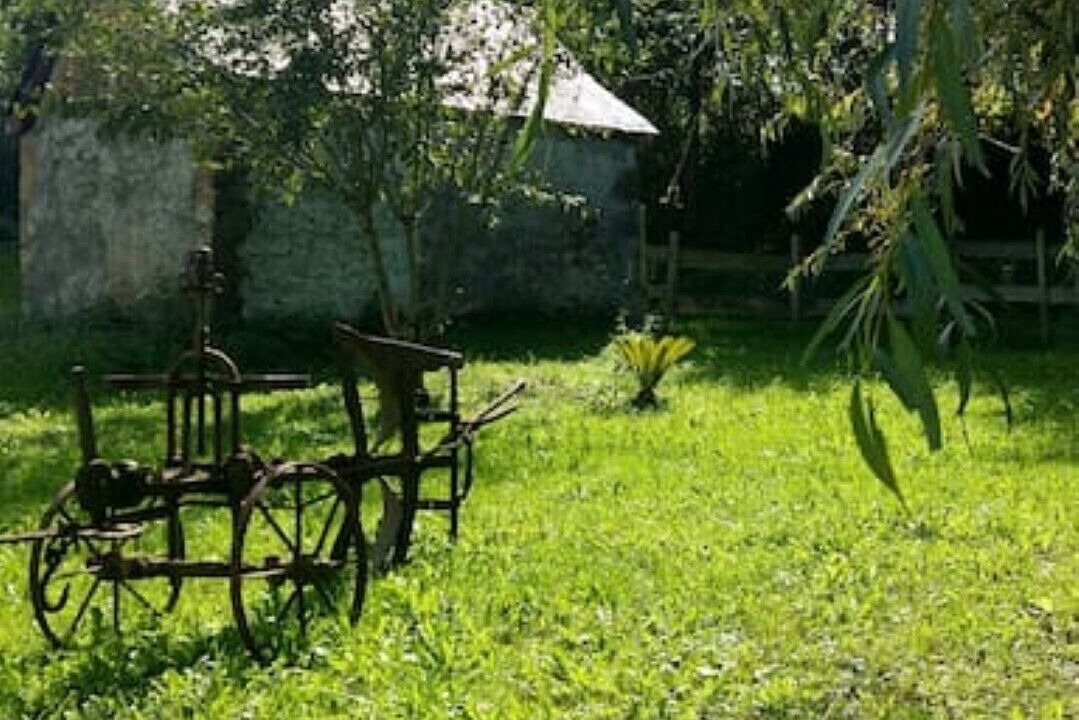 Photo of Outdoor in Barcus