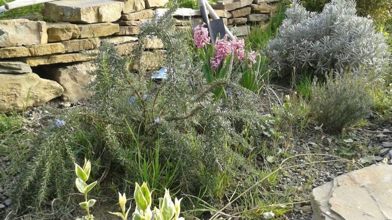 Photo of Outdoor in Barcus