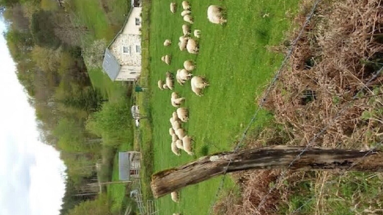 Photo of Others in Barcus