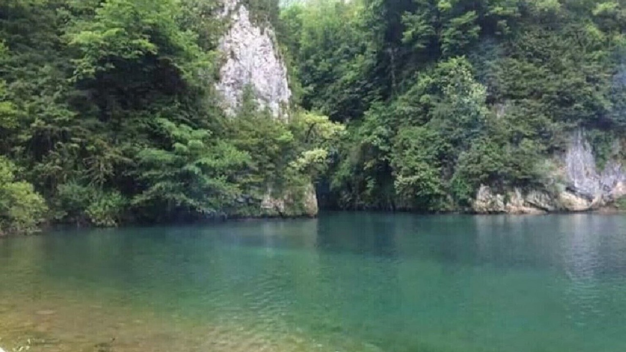 Photo of Others in Barcus