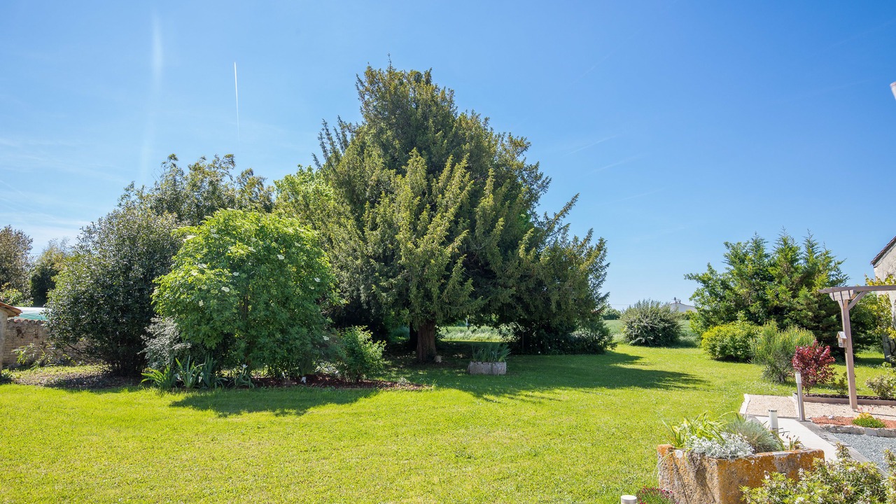 Photo of Outdoor in Virson