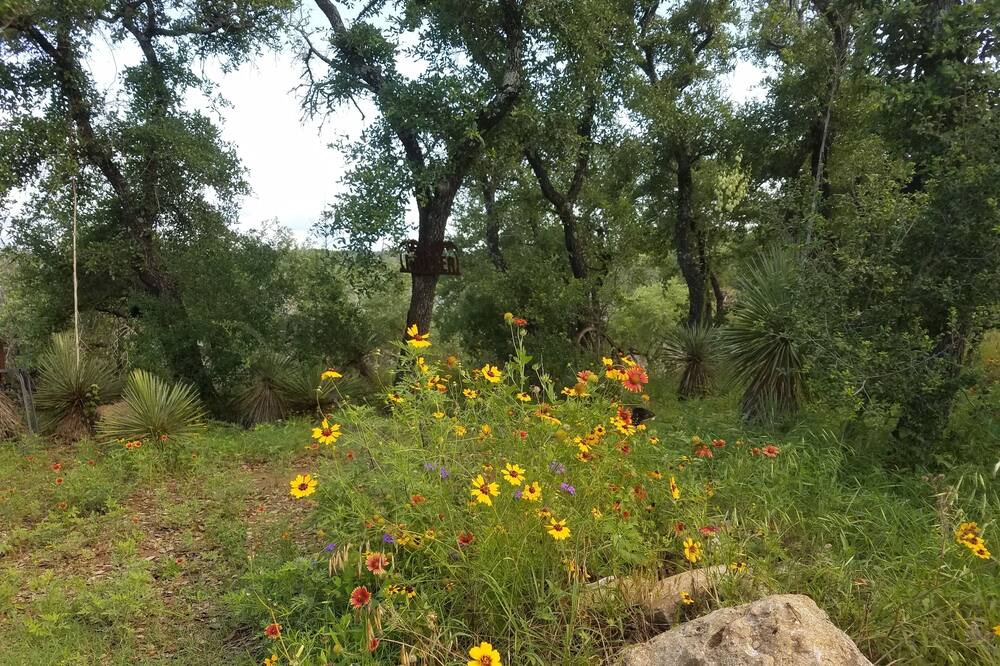 Photo of Others in Spicewood