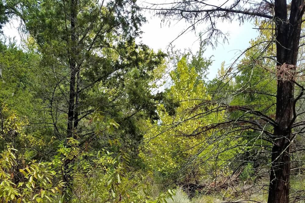 Photo of Others in Spicewood