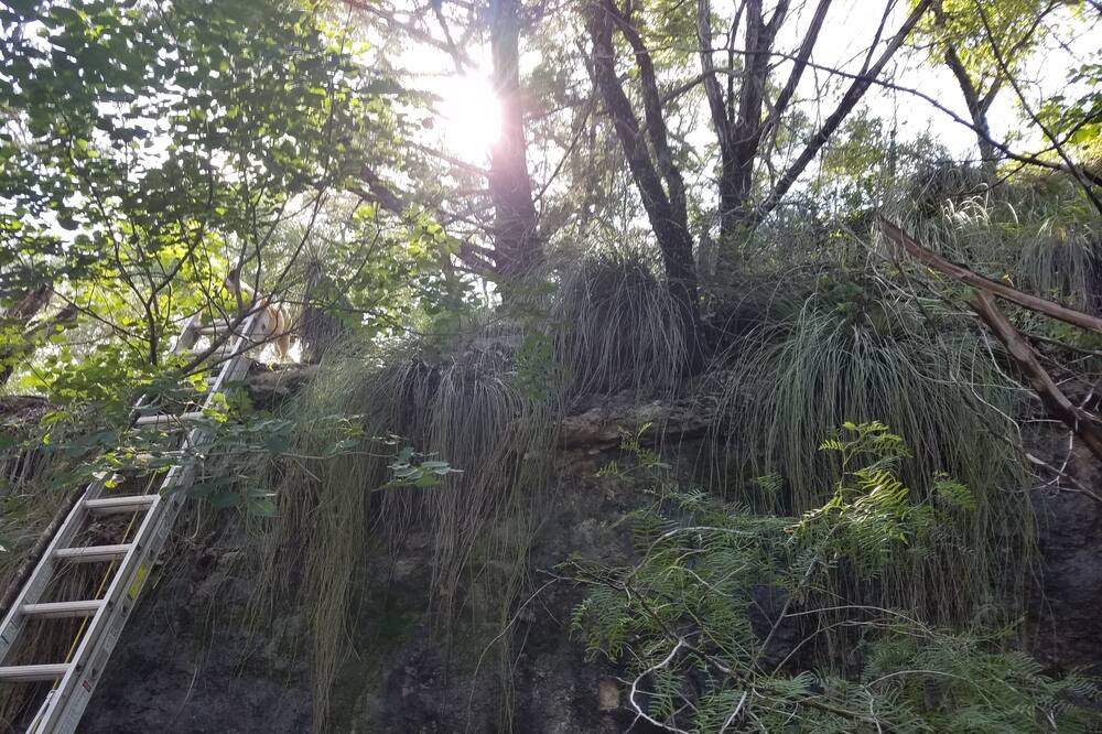 Photo of Outdoor in Spicewood