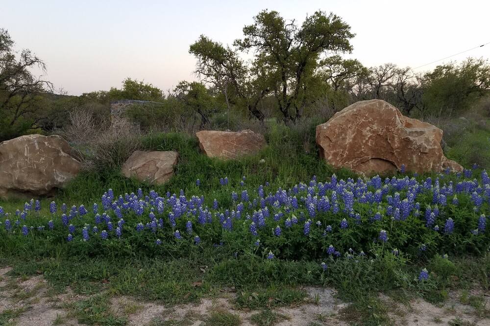 Photo of Outdoor in Spicewood