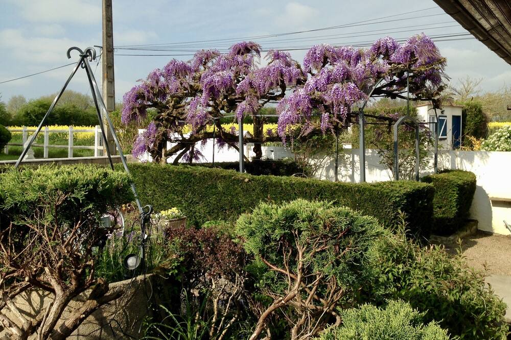 Photo of Outdoor in Belabre