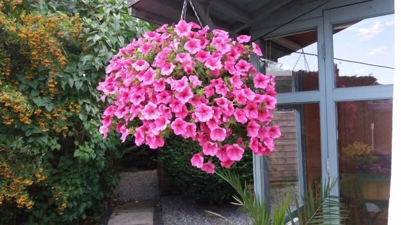 Photo of Outdoor in North Ferriby