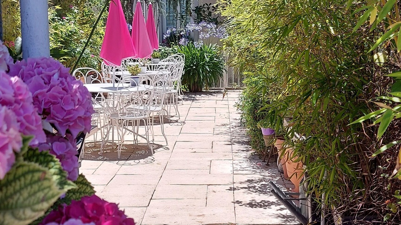 Photo of Outdoor in Montreal