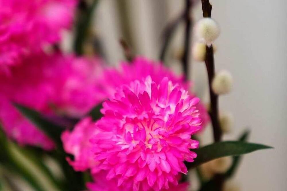 Photo of Outdoor in Pembridge