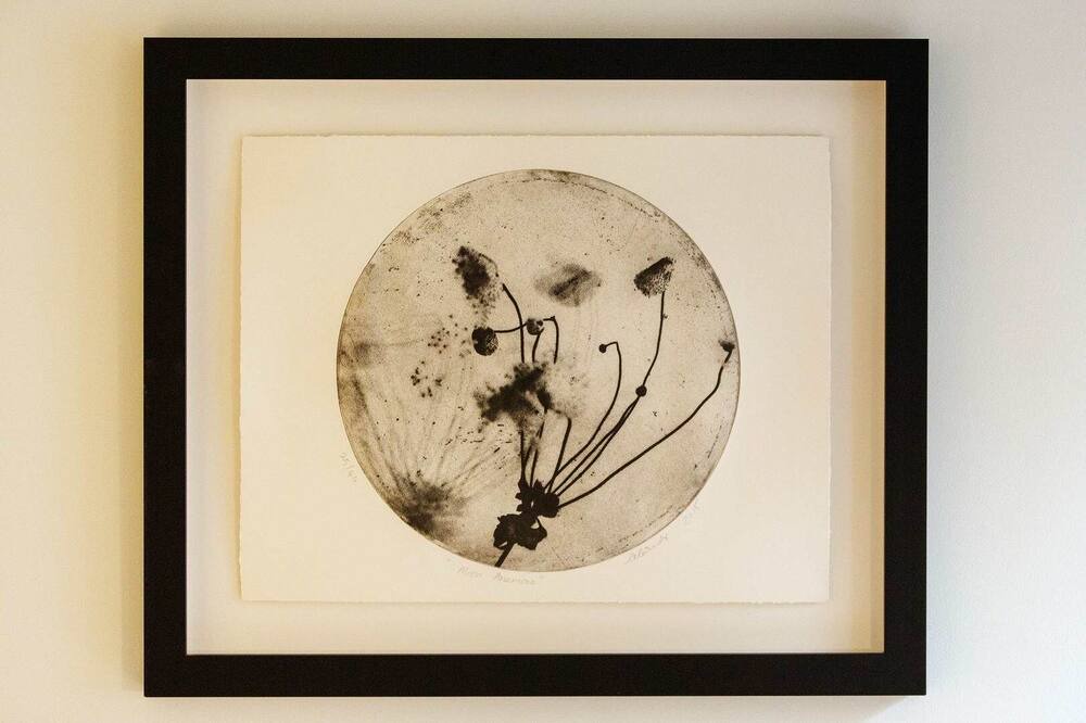 Photo of Others in Ferndale