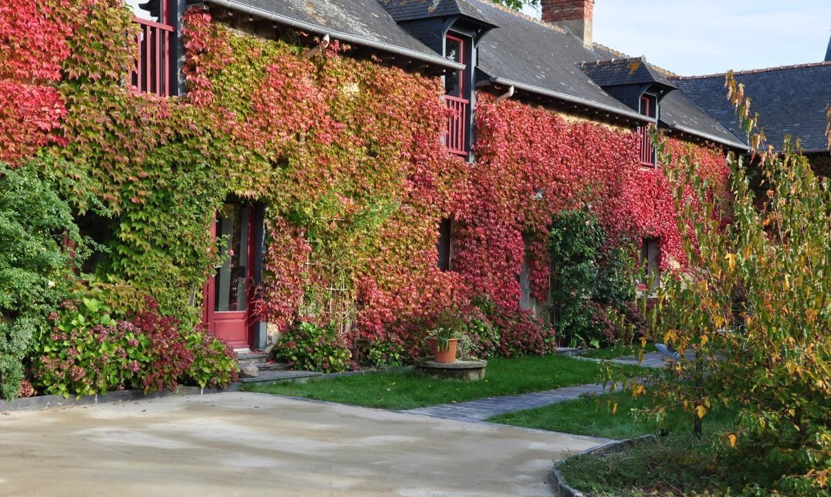 Photo of Outdoor in La Chapelle-Thouarault