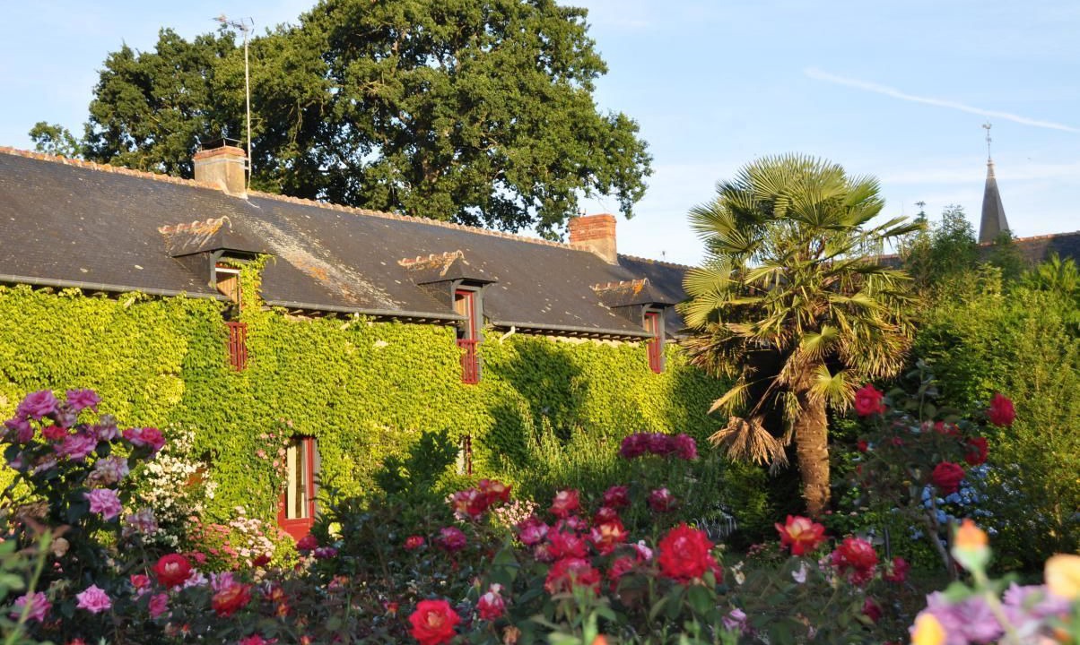 Photo of Outdoor in La Chapelle-Thouarault