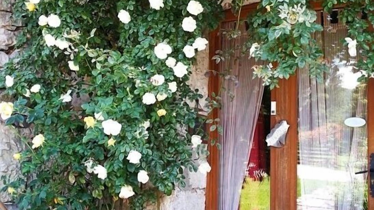 Photo of Outdoor in Saint-Christophe-la-Grotte