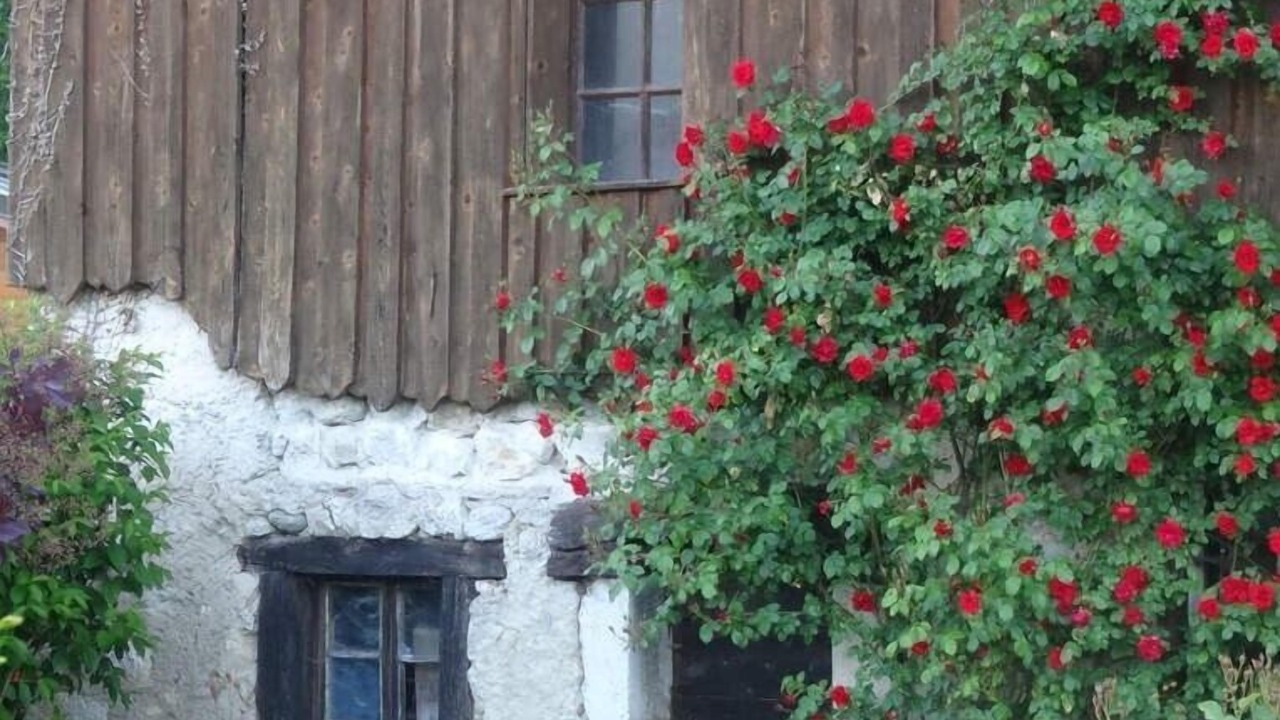 Photo of Outdoor in Saint-Christophe-la-Grotte