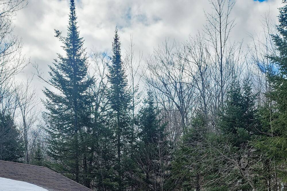 Photo of Outdoor in Sainte-Ann-des-Lacs