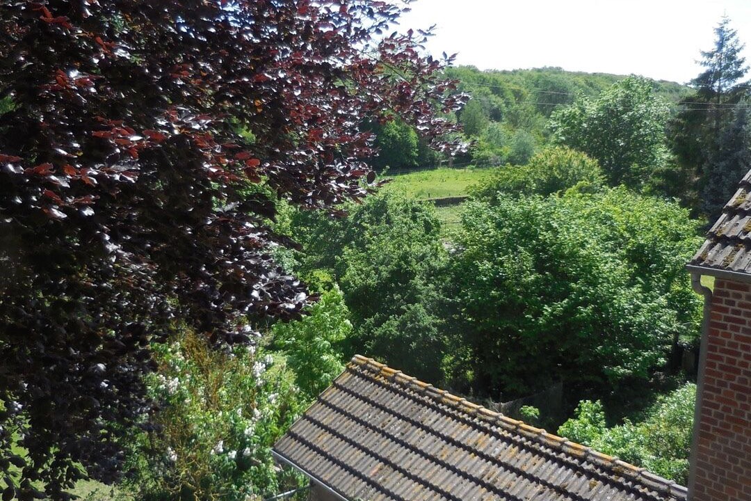 Photo of Outdoor in Cahon