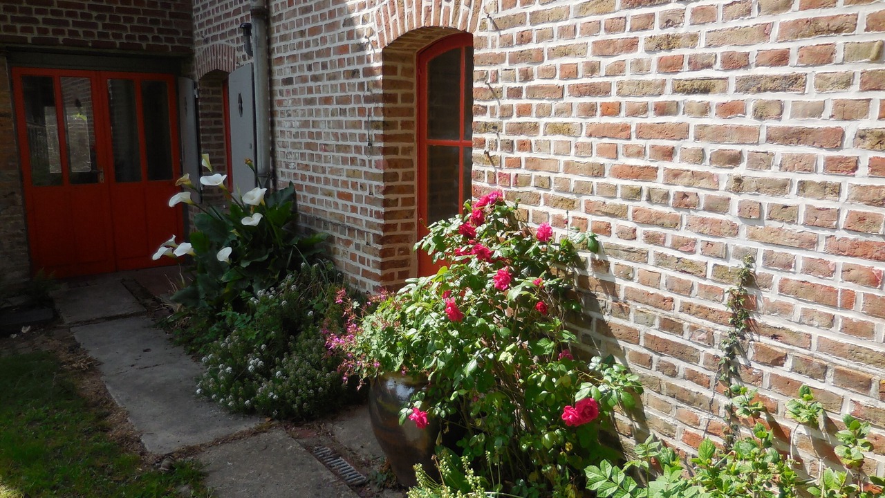 Photo of Outdoor in Cahon