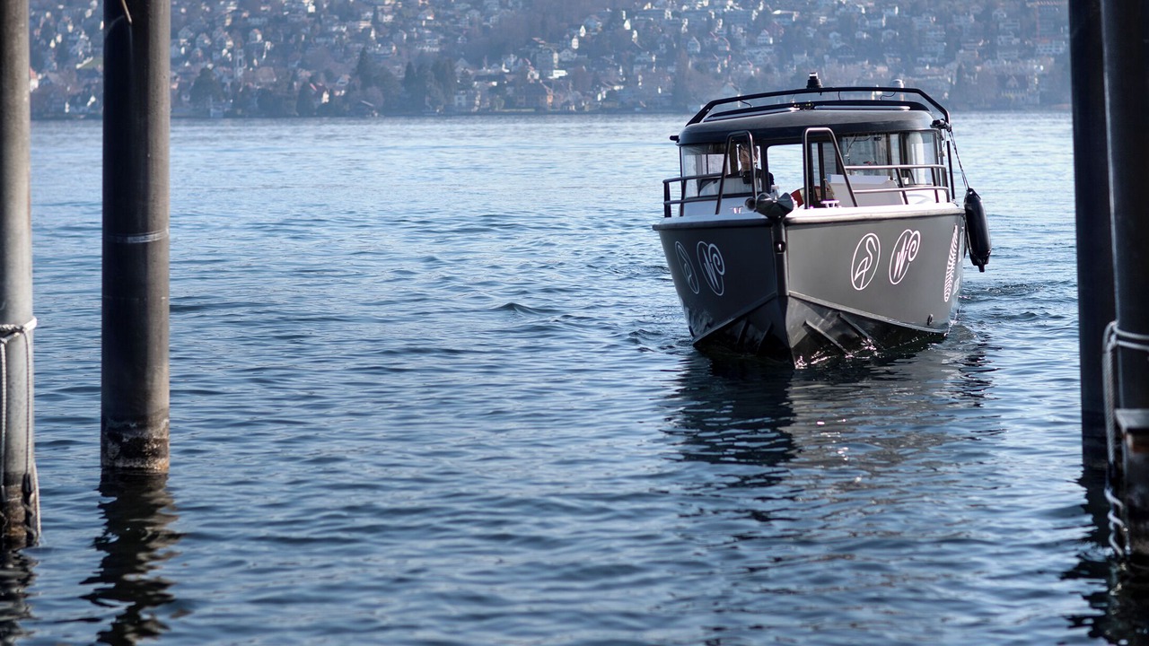 Photo of Outdoor in Horgen District