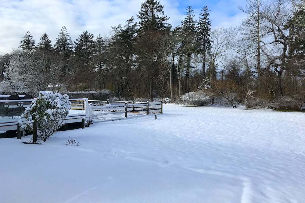 Photo of Others in North Sea