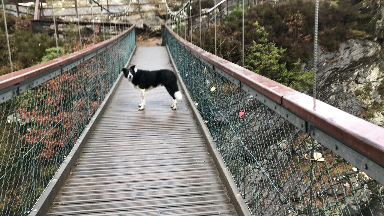 Photo of Others in Gorstan