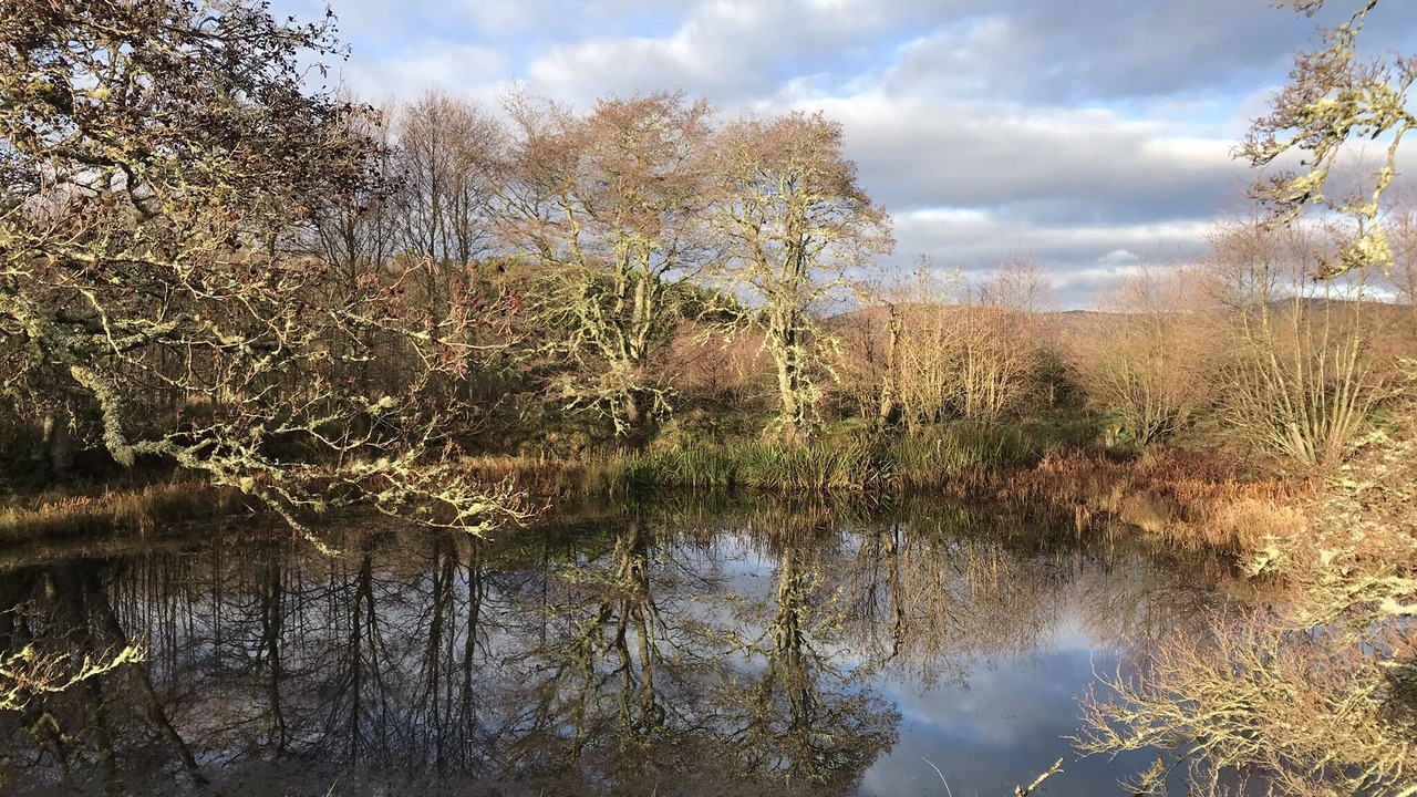 Photo of Others in Gorstan