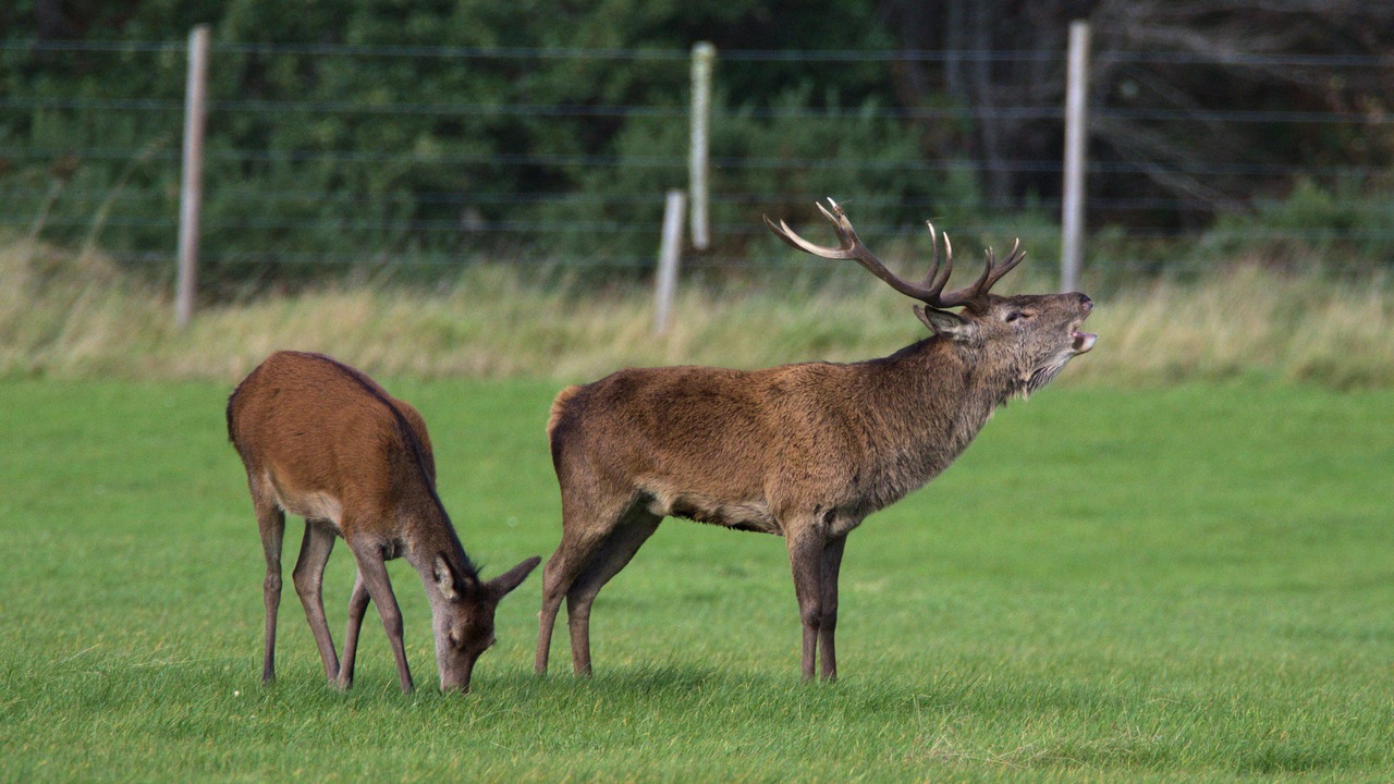 Photo of Outdoor in Gorstan